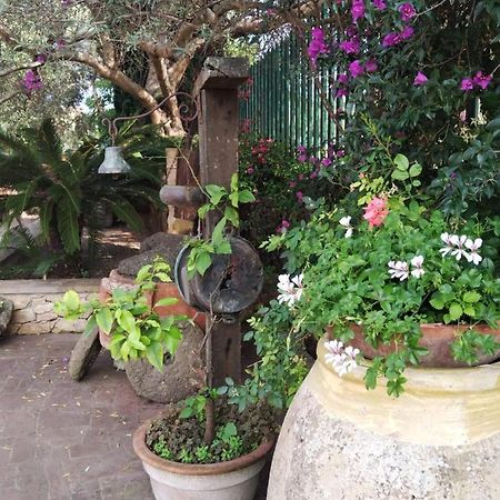 Il Casale Del Cortonese Daire Sassari Dış mekan fotoğraf
