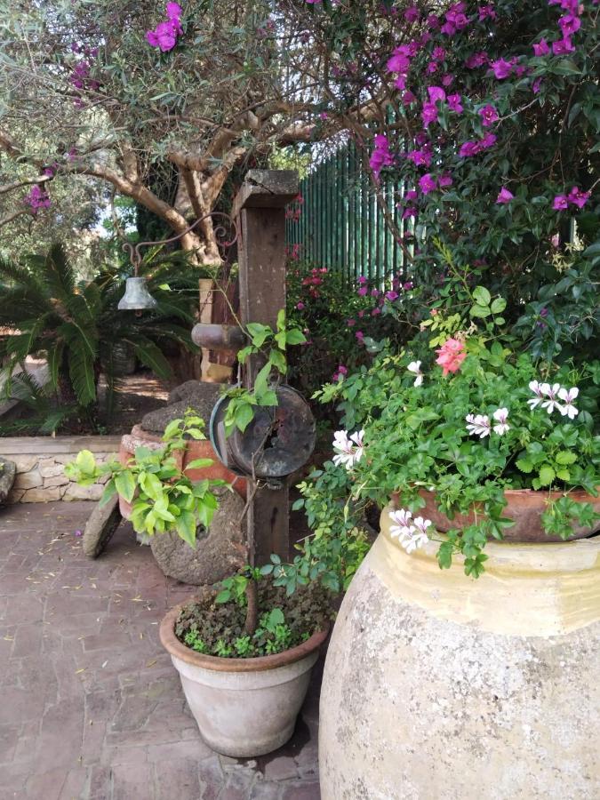 Il Casale Del Cortonese Daire Sassari Dış mekan fotoğraf