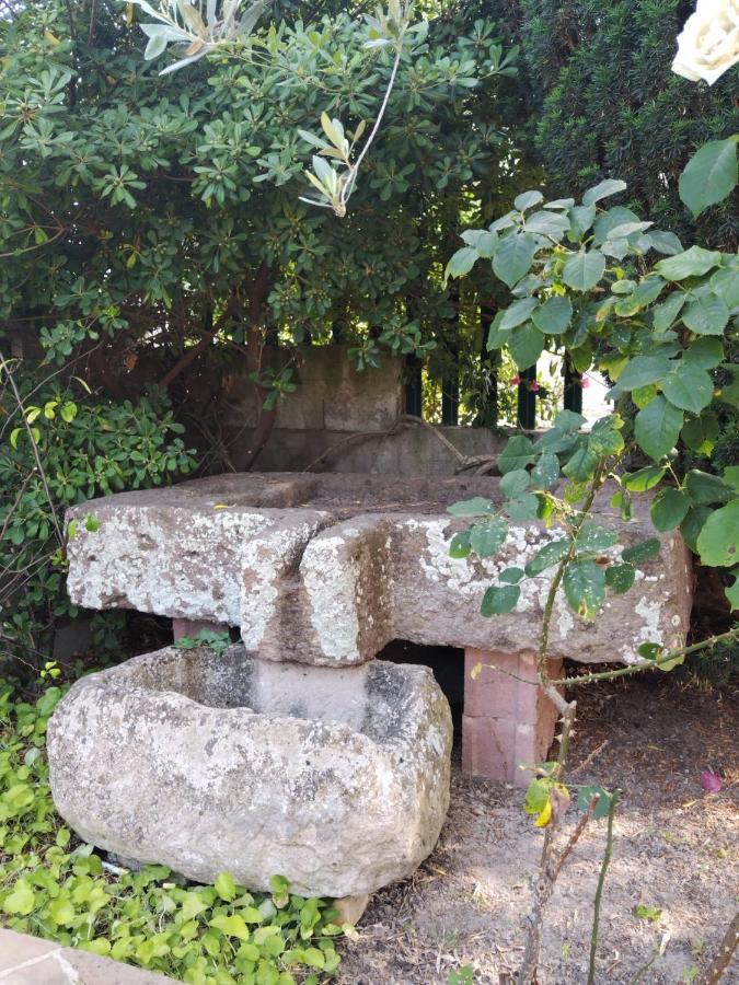 Il Casale Del Cortonese Daire Sassari Dış mekan fotoğraf